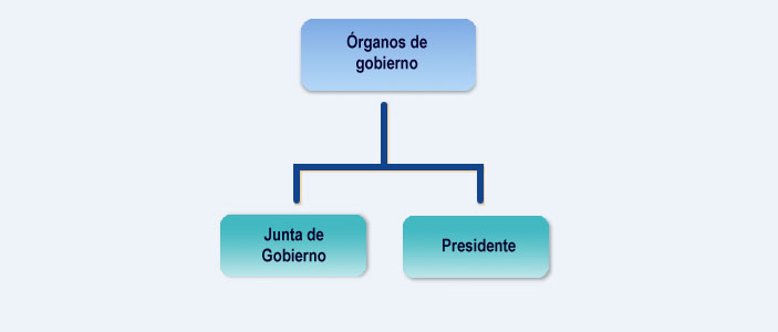 Organigrama de Órganos de Gobierno