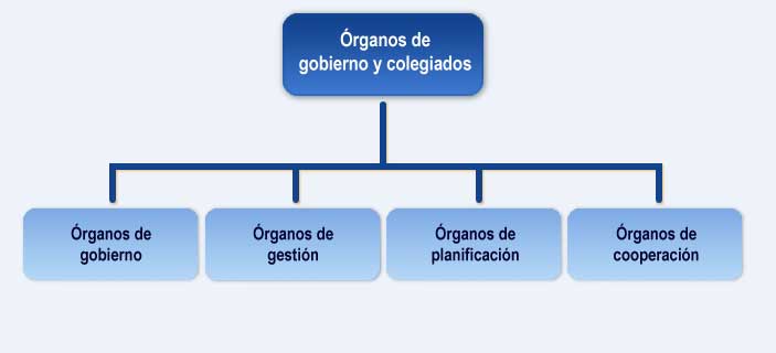 Órganos de gobierno y colegiados