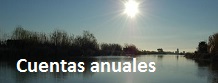 Cuentas anuales