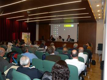 Imagen 1 de la Mesa Territorial de los Documentos iniciales en València