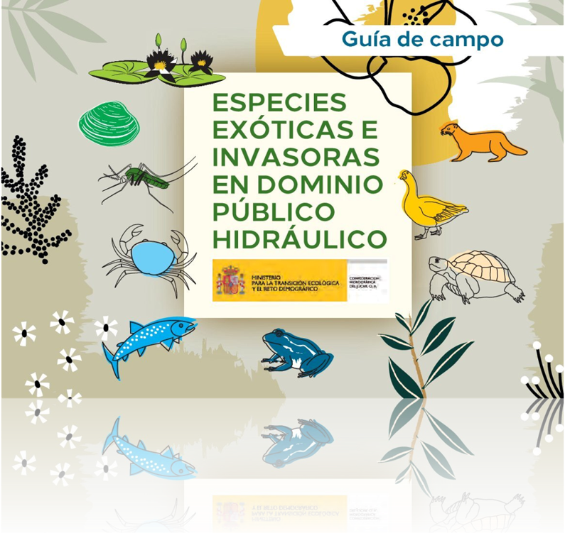 Guía de campo: Especies Exóticas e Invasoras en Dominio Público Hidráulico