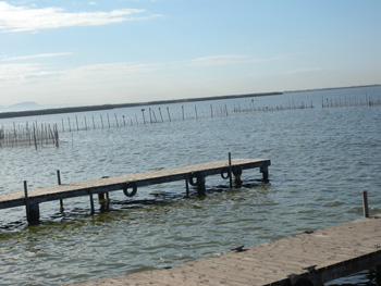 Imagen del lago de la Albufera
