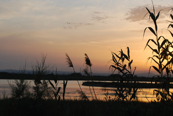 lago de la  Albufera