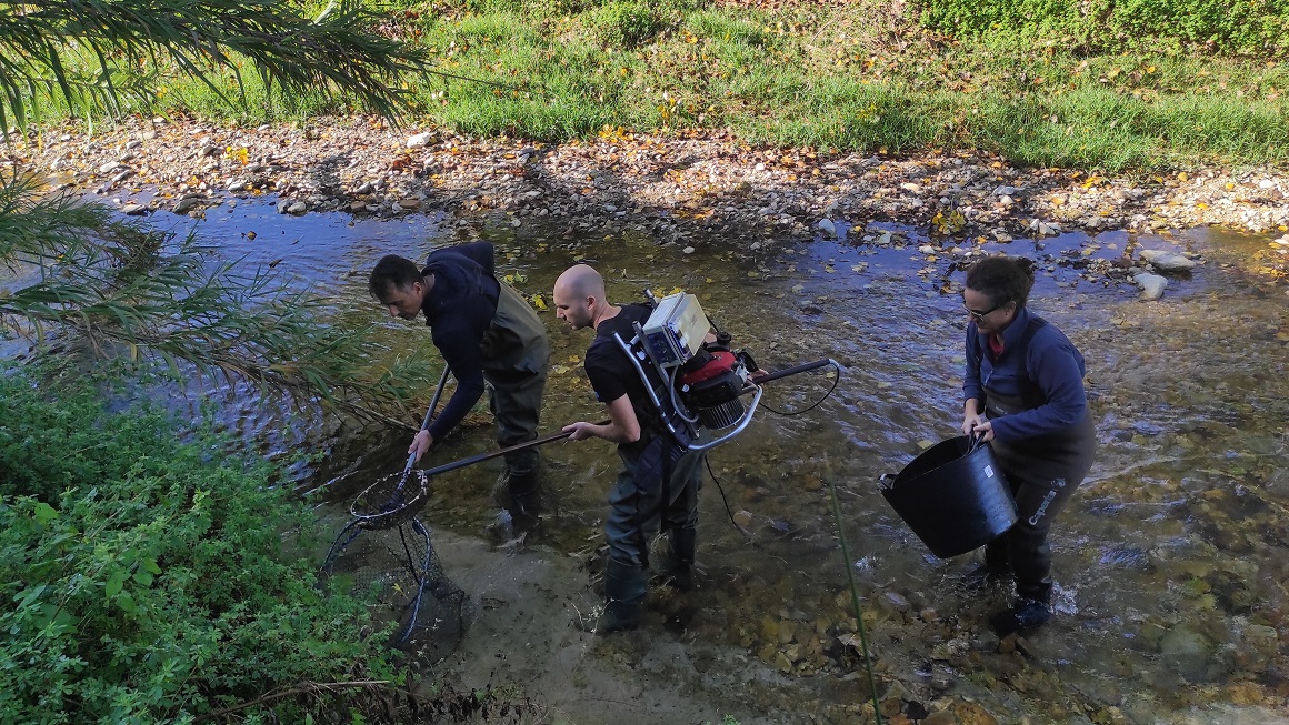 Pesca eléctrica para el análisis de la biota en el río Albaida