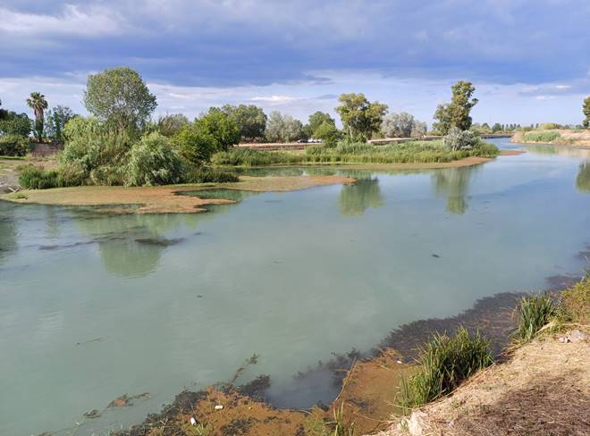 La Confederación Hidrográfica del Júcar retira la población de Azolla ...