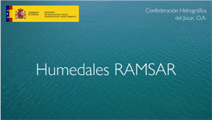 Enlace a la página de videos de Humedales Ramsar