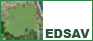 Enlace a la web externa EDSAV: Abre una nueva ventana