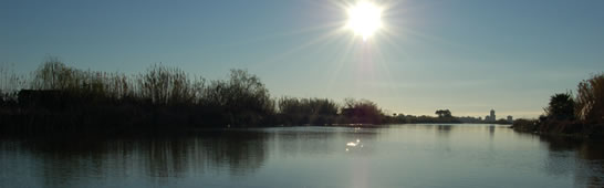 Imagen del lago de la Albufera