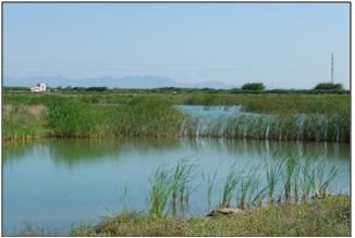 La Albufera de Valencia